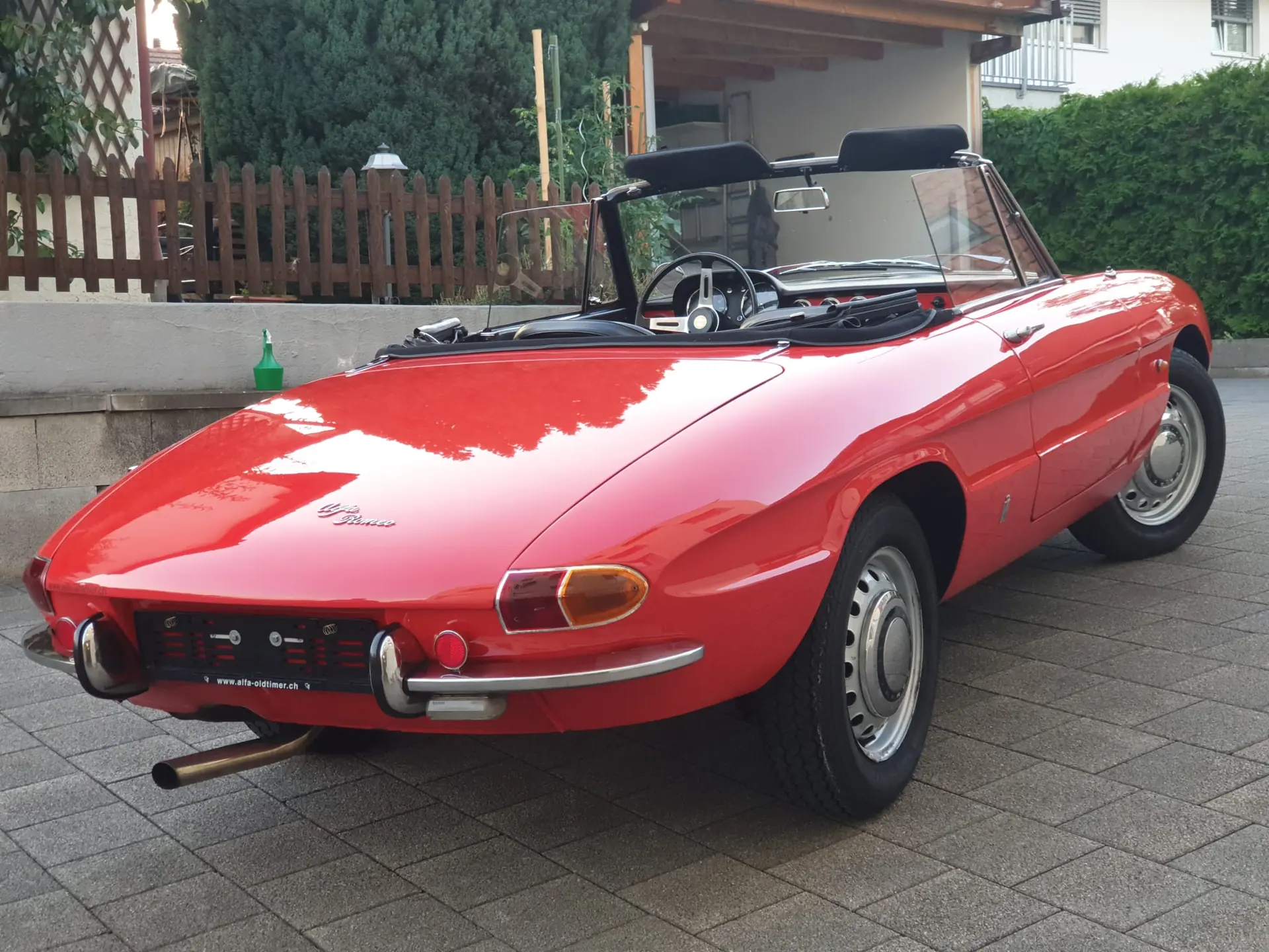 Alfa Romeo Spider 1966 occasion Grüningen ZH — 3