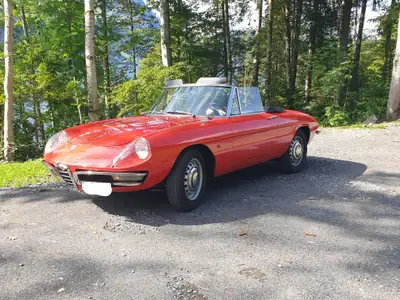 Alfa Romeo Spider 1600 Duetto — Chef-d'œuvre cabriolet de 1966, état exceptionnel — cruscotto