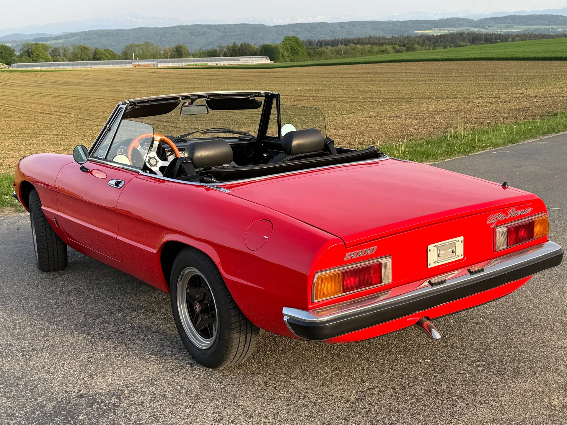 Alfa Romeo Spider 1982 occasion Wil SG — 4