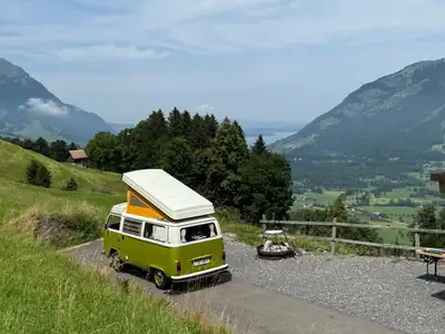 VW T2 Campingbus 1974 — Véhicule de collection avec permis vétéran, pièce d'histoire — arrière