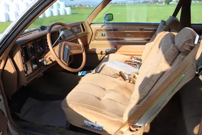 Buick Regal Coupé 1979 — Classique américain authentique, 73 000 km seulement — Heckansicht