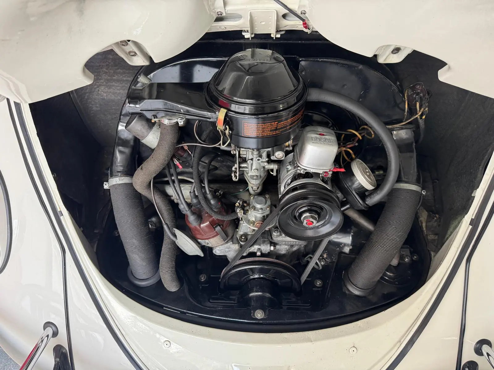 Volkswagen Kafer 1964 occasion Seedorf UR — 5
