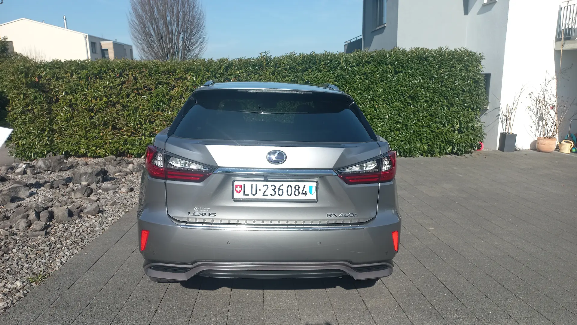 Lexus RX 2018 occasion Nottwil — 2