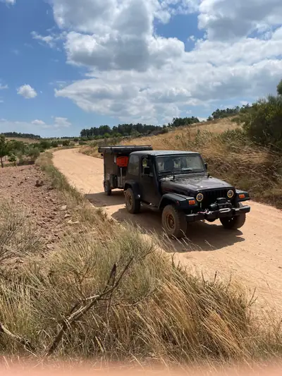 Jeep Wrangler TJ 2002 — Légende 4x4 violet, transmission manuelle, sans sinistre — cruscotto
