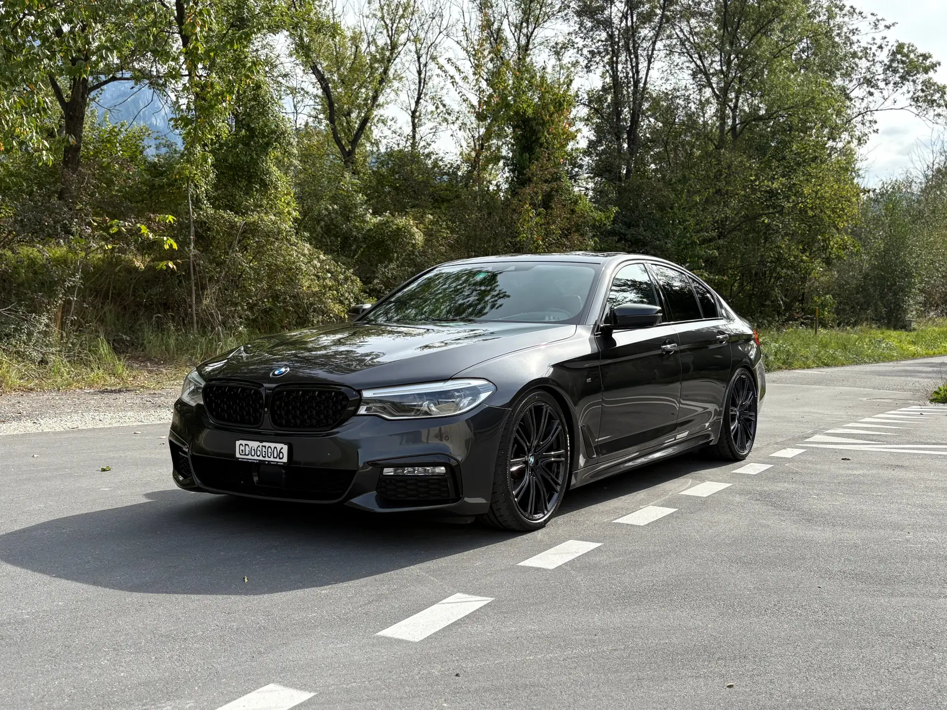 BMW 530d xDrive Steptronic — Berline premium diesel, transmission intégrale
