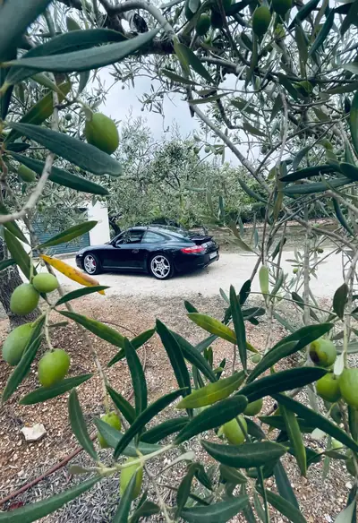 Porsche 911 Carrera S 2005 — Coupé sportif légendaire, 355 ch et boîte manuelle — Miniature 7