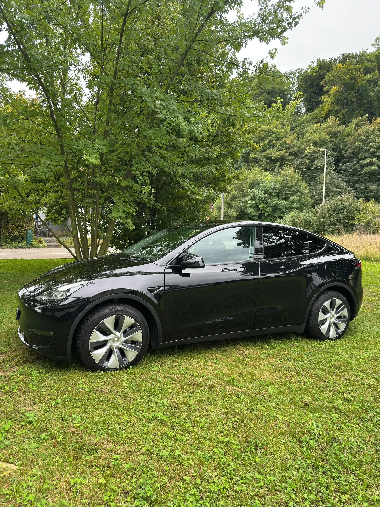 Tesla Model Y 2024 occasion Basel — 1