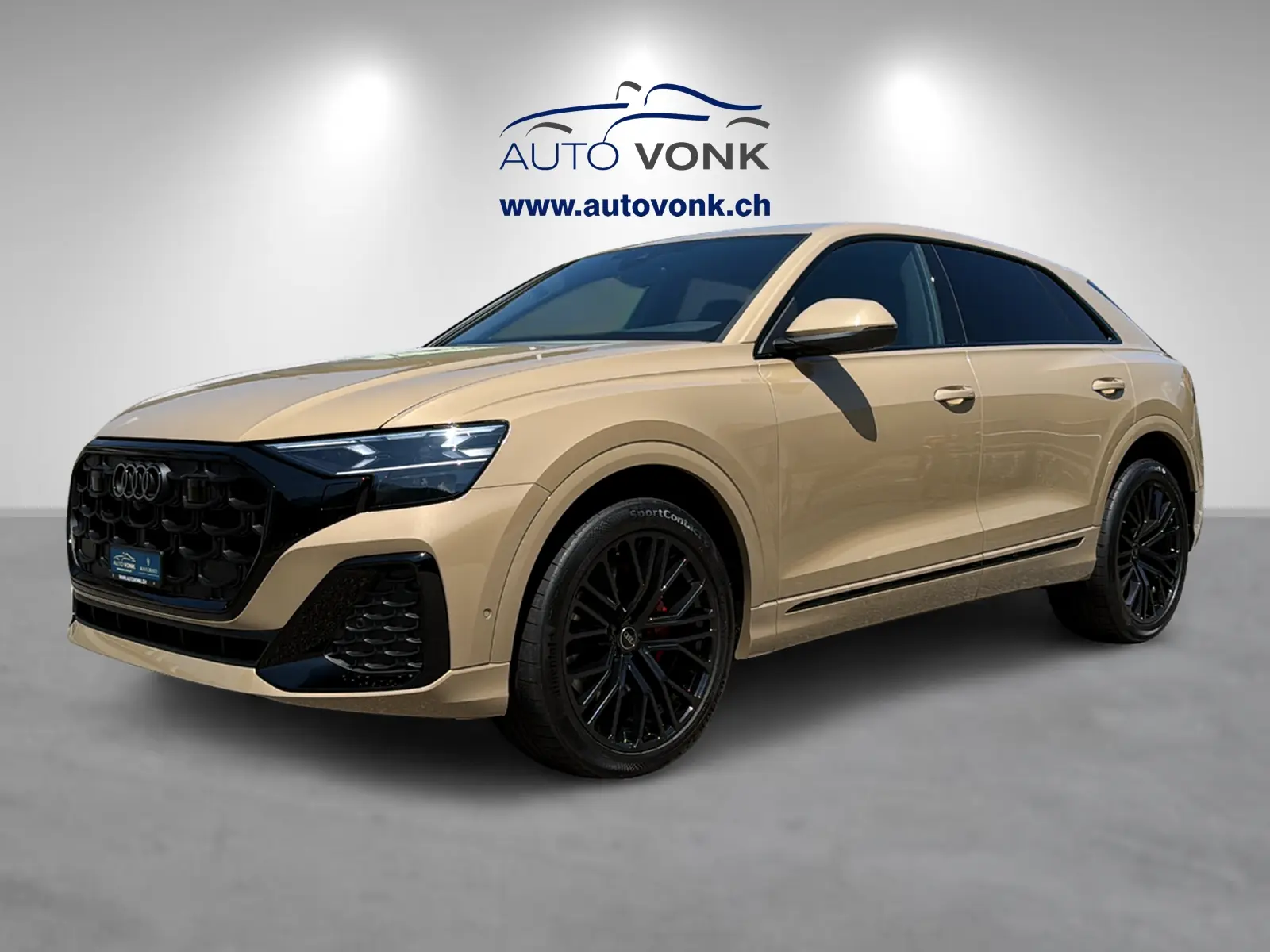 Audi Q8 50 TDI S-Line — SUV premium diesel avec direction intégrale et toit panoramique