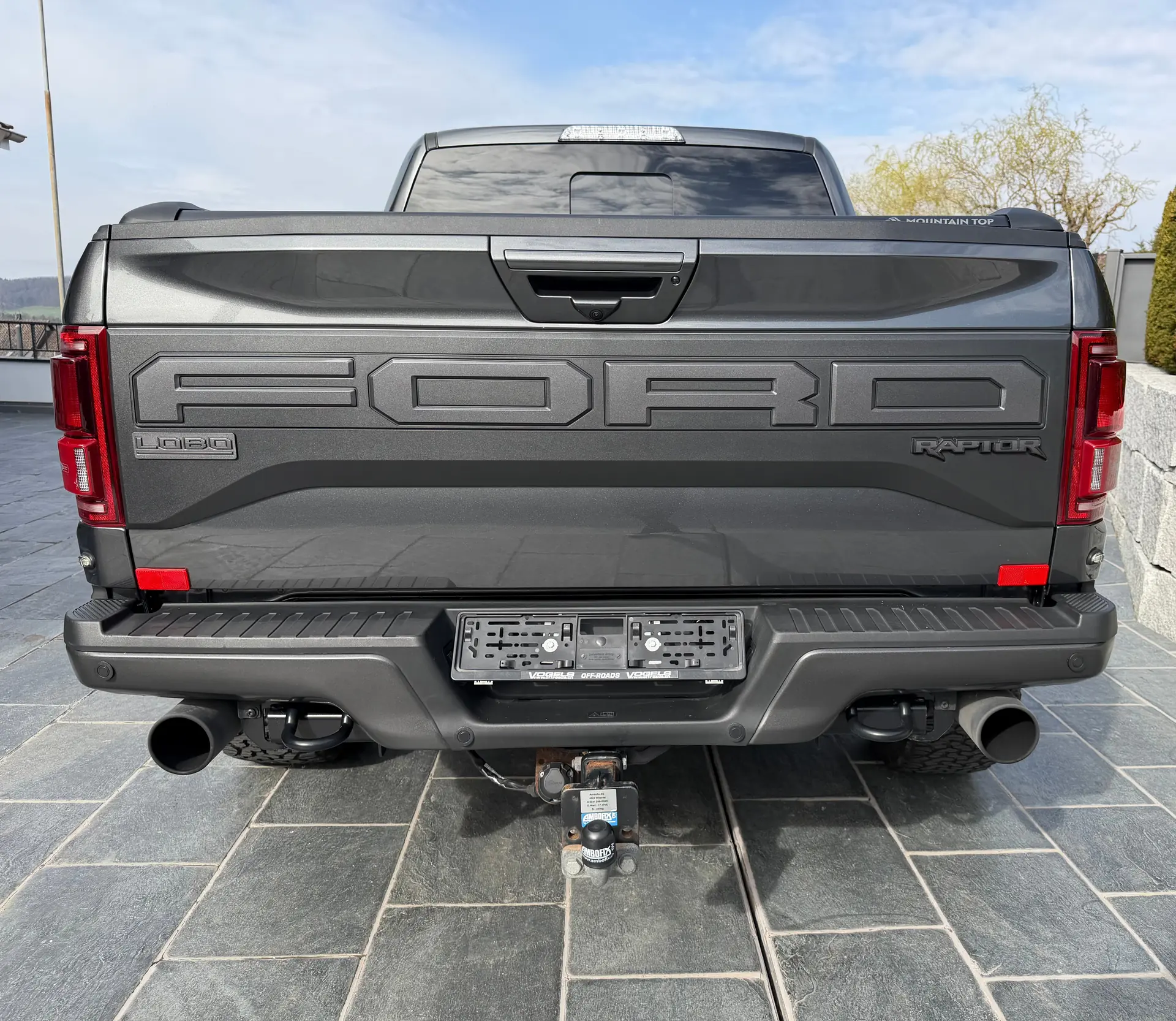 Ford F Pickup 2021 occasion Ramlinsburg — 4