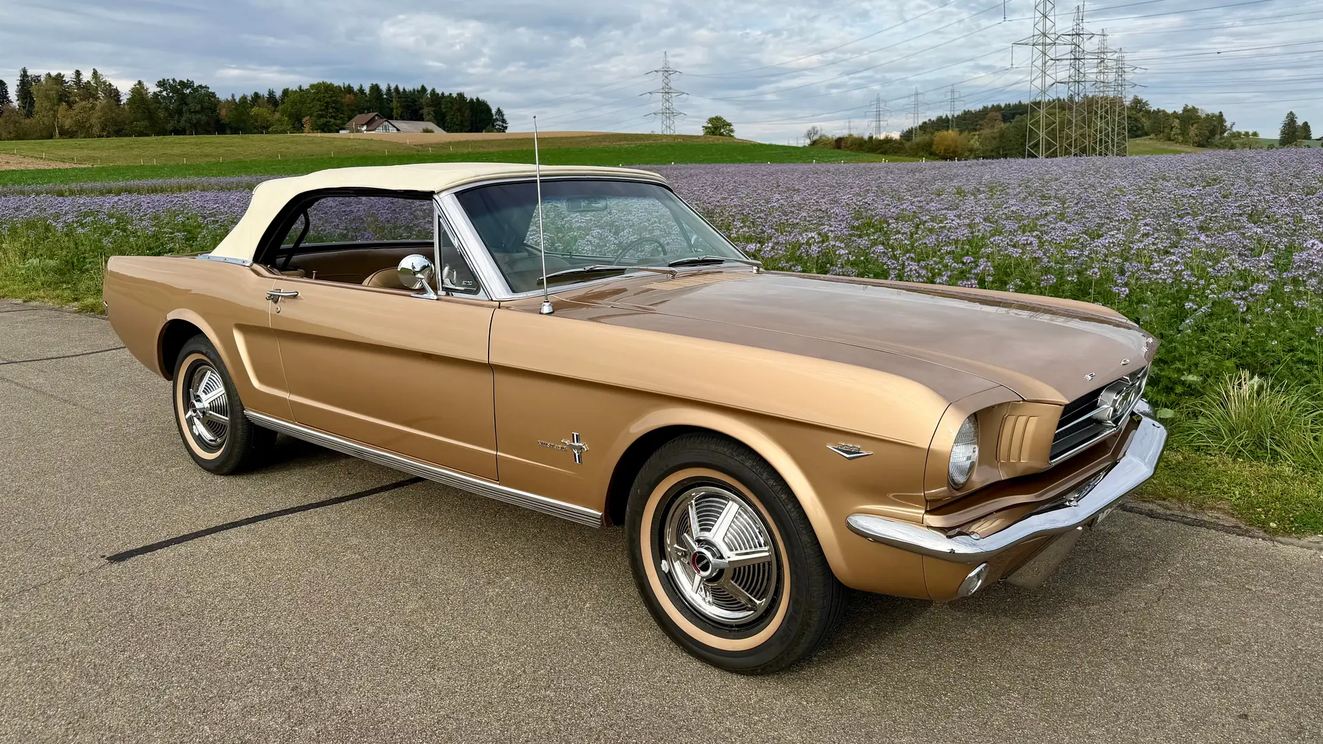 Ford Mustang 1964 occasion Oberwil b. Nürensdorf — 3