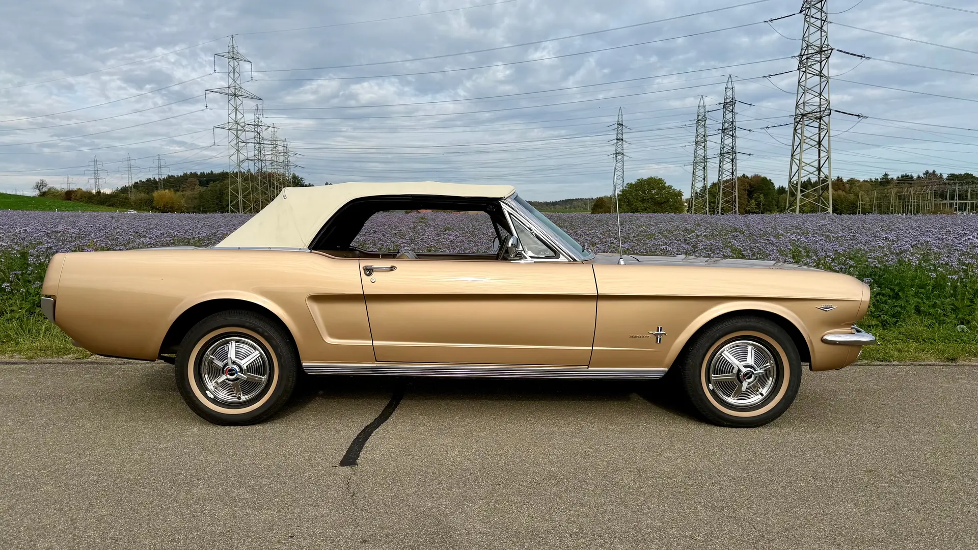 Ford Mustang 1964 occasion Oberwil b. Nürensdorf — 1