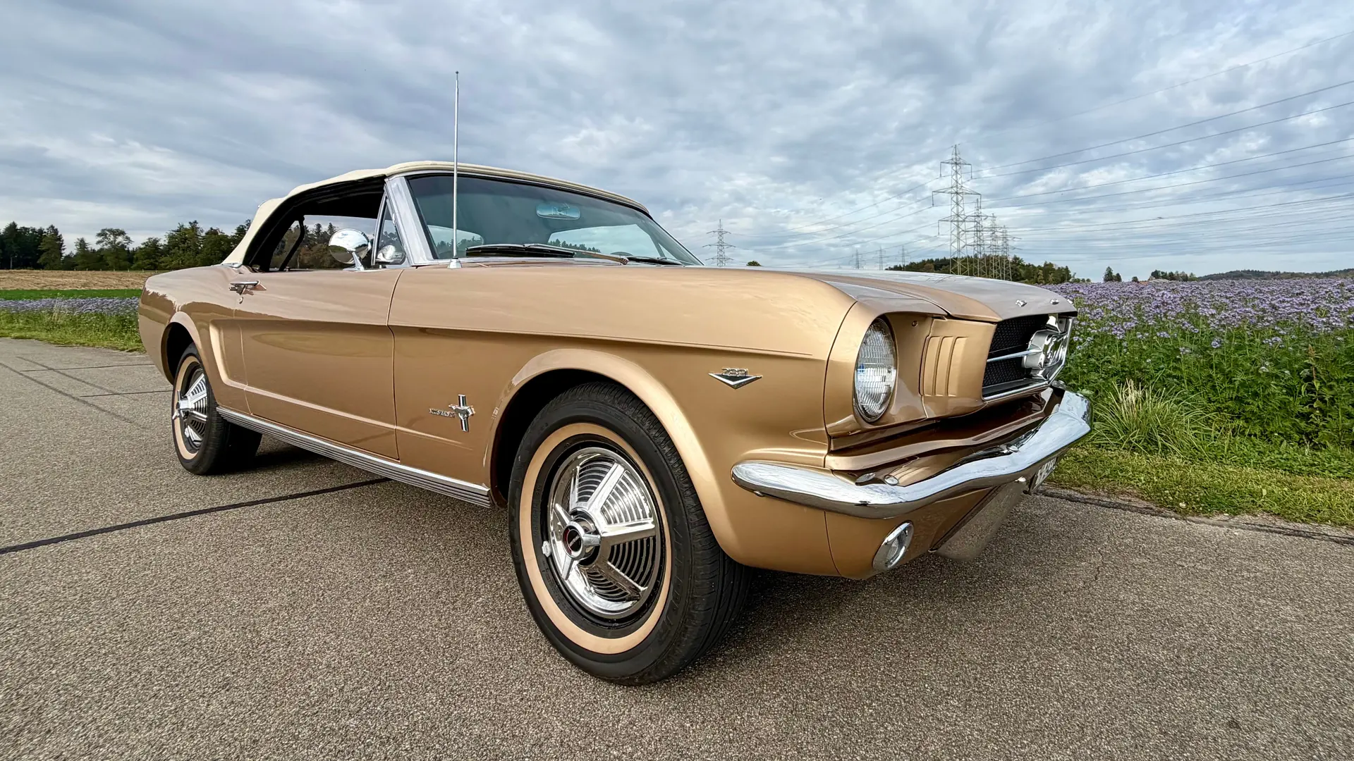 Ford Mustang 1964 occasion Oberwil b. Nürensdorf — 4
