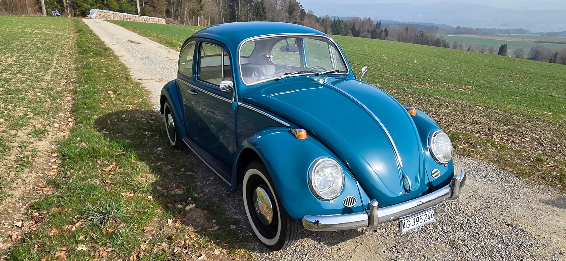 VW Käfer 1965 — Légende automobile avec entrée au registre des véhicules anciens — vue extérieure