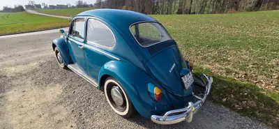 VW Käfer 1965 — Légende automobile avec entrée au registre des véhicules anciens — côté