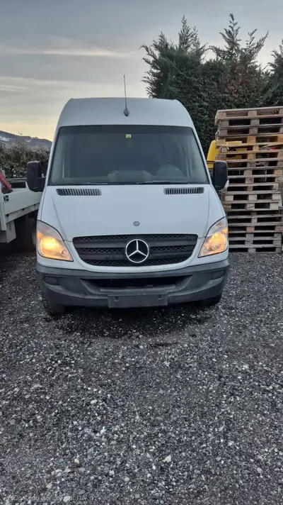 Mercedes-Benz Sprinter 316 CDI — Utilitaire fiable, 183 000 km, sans sinistre — arrière
