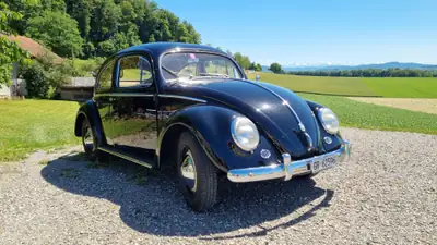 Volkswagen Käfer 11.3 De Luxe 1954 — Véhicule vétéran authentique, sans accident — vista esterna