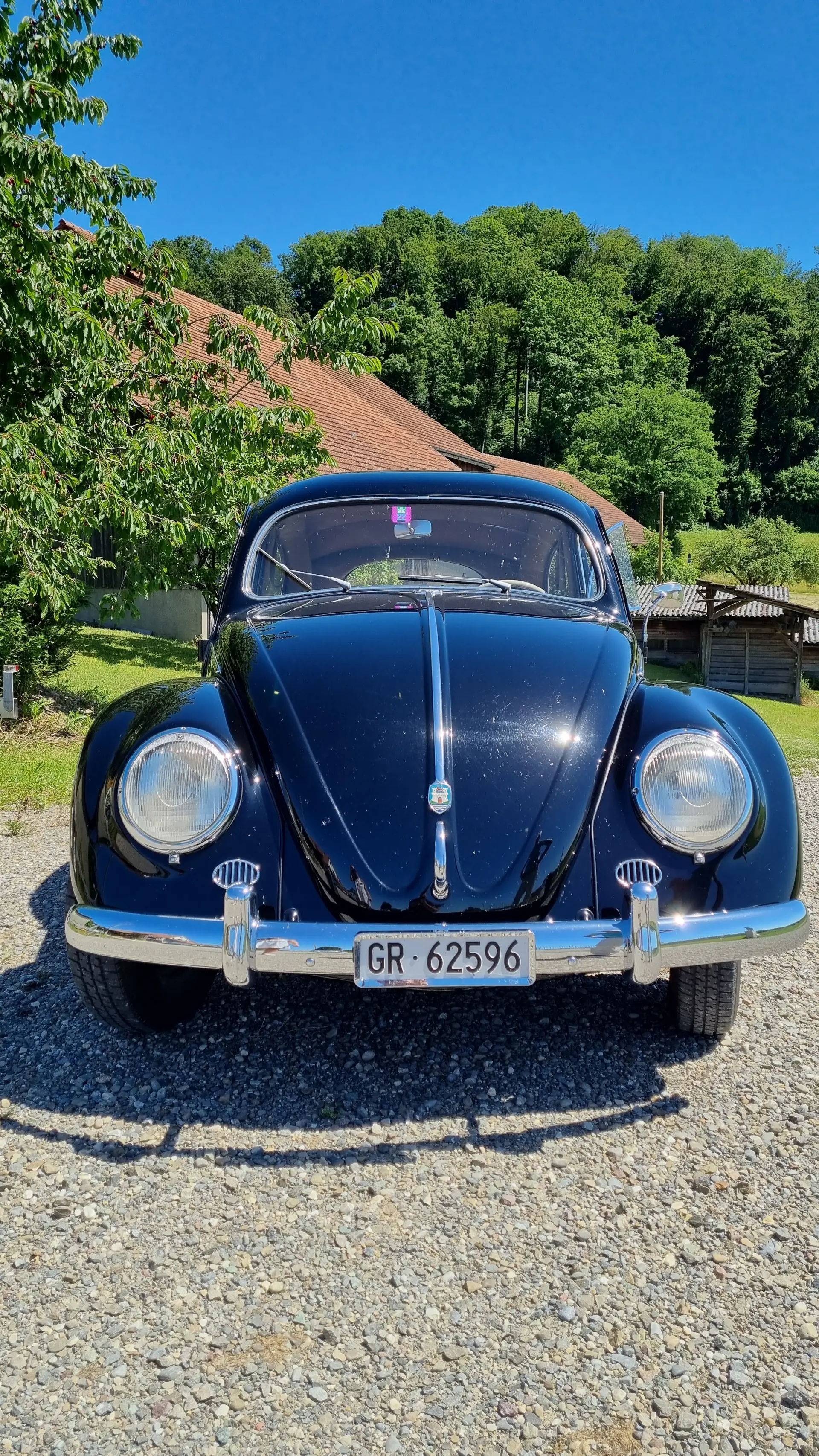 Volkswagen Kafer 1954 occasion Vaz/Obervaz — 3