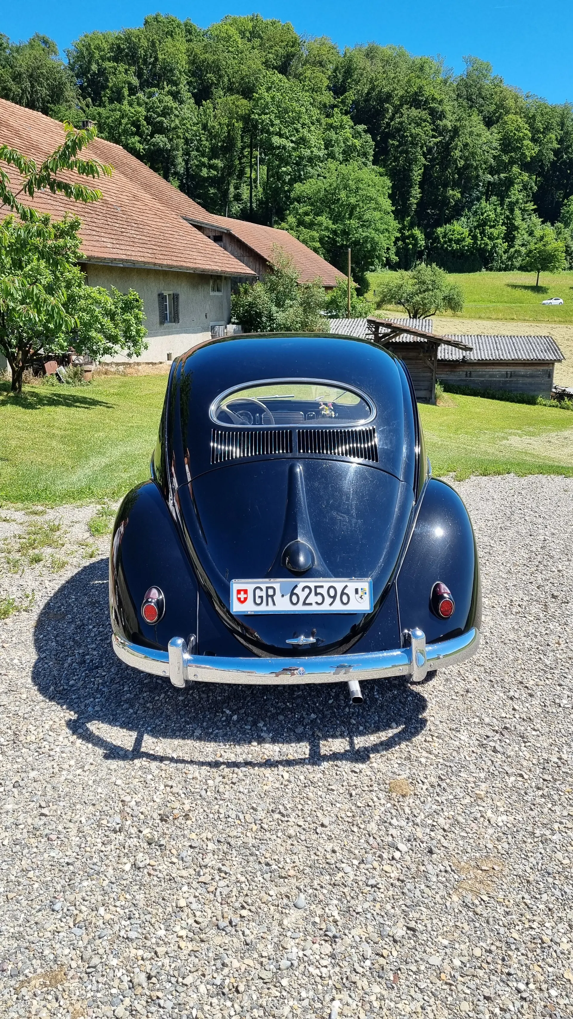 Volkswagen Kafer 1954 occasion Vaz/Obervaz — 4