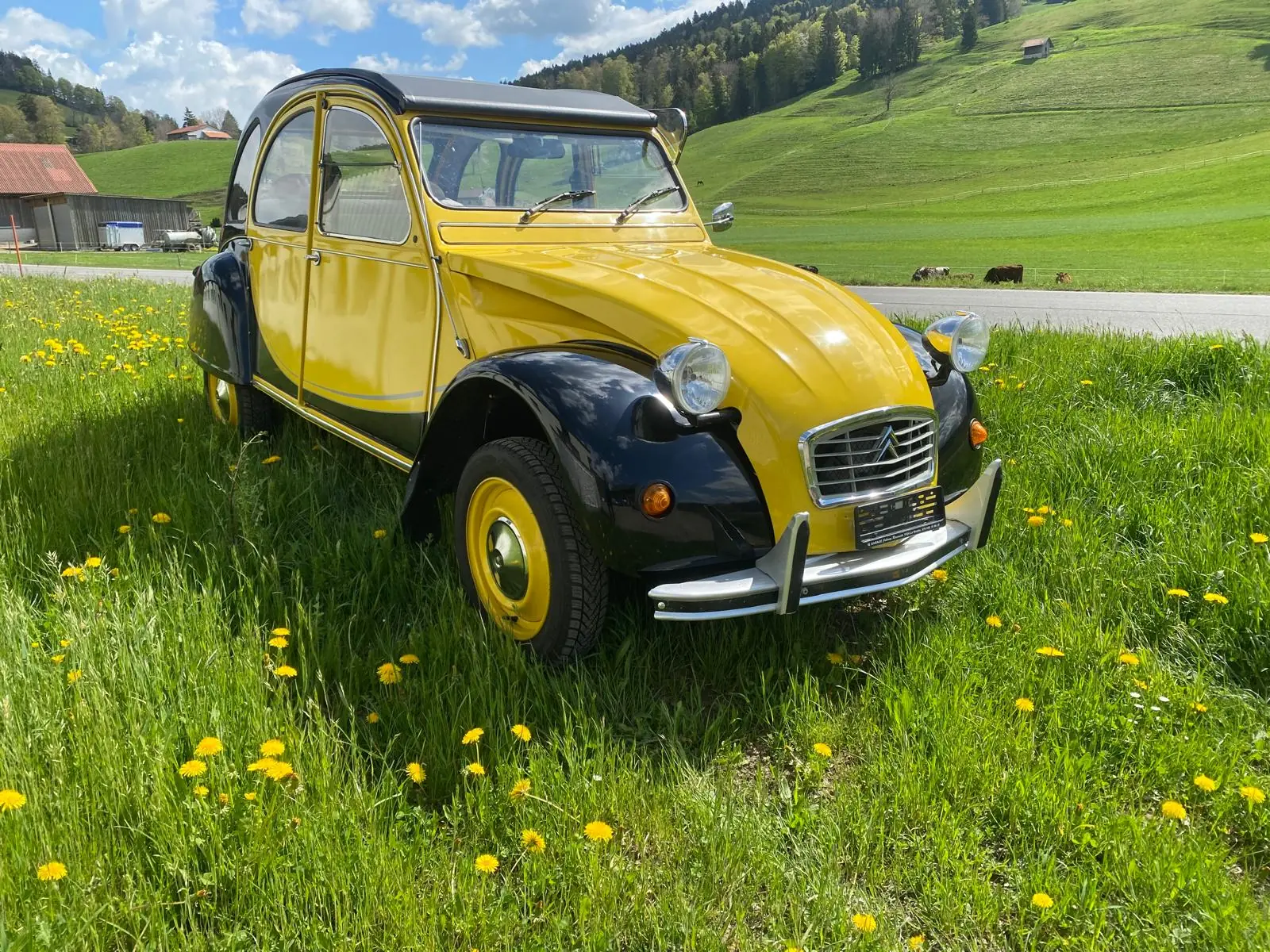 Citroën 2CV Charleston 1982 — Icône rétro restaurée, état exceptionnel
