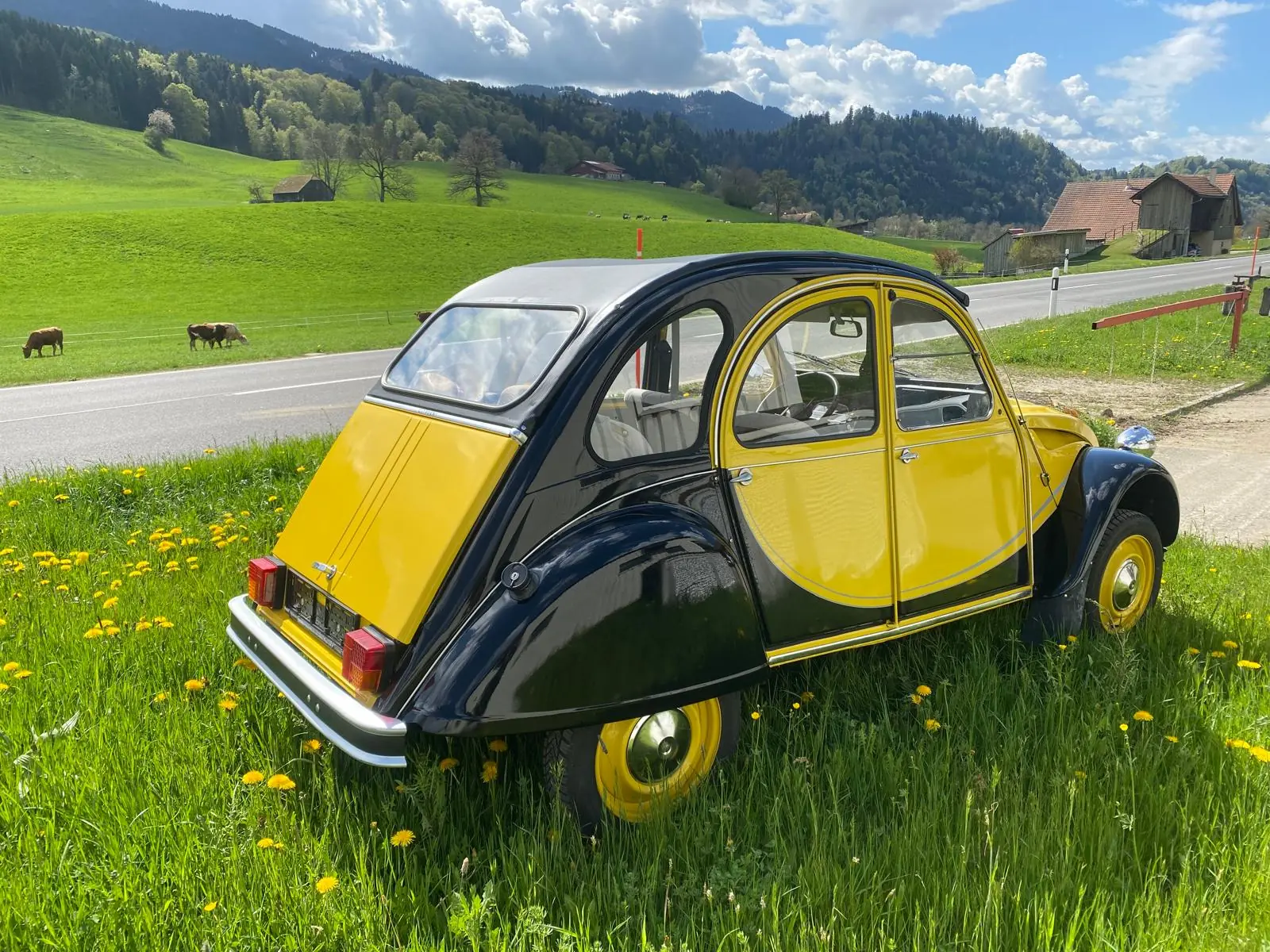 Citroen 2cv 1982 occasion Ecoteaux — 3