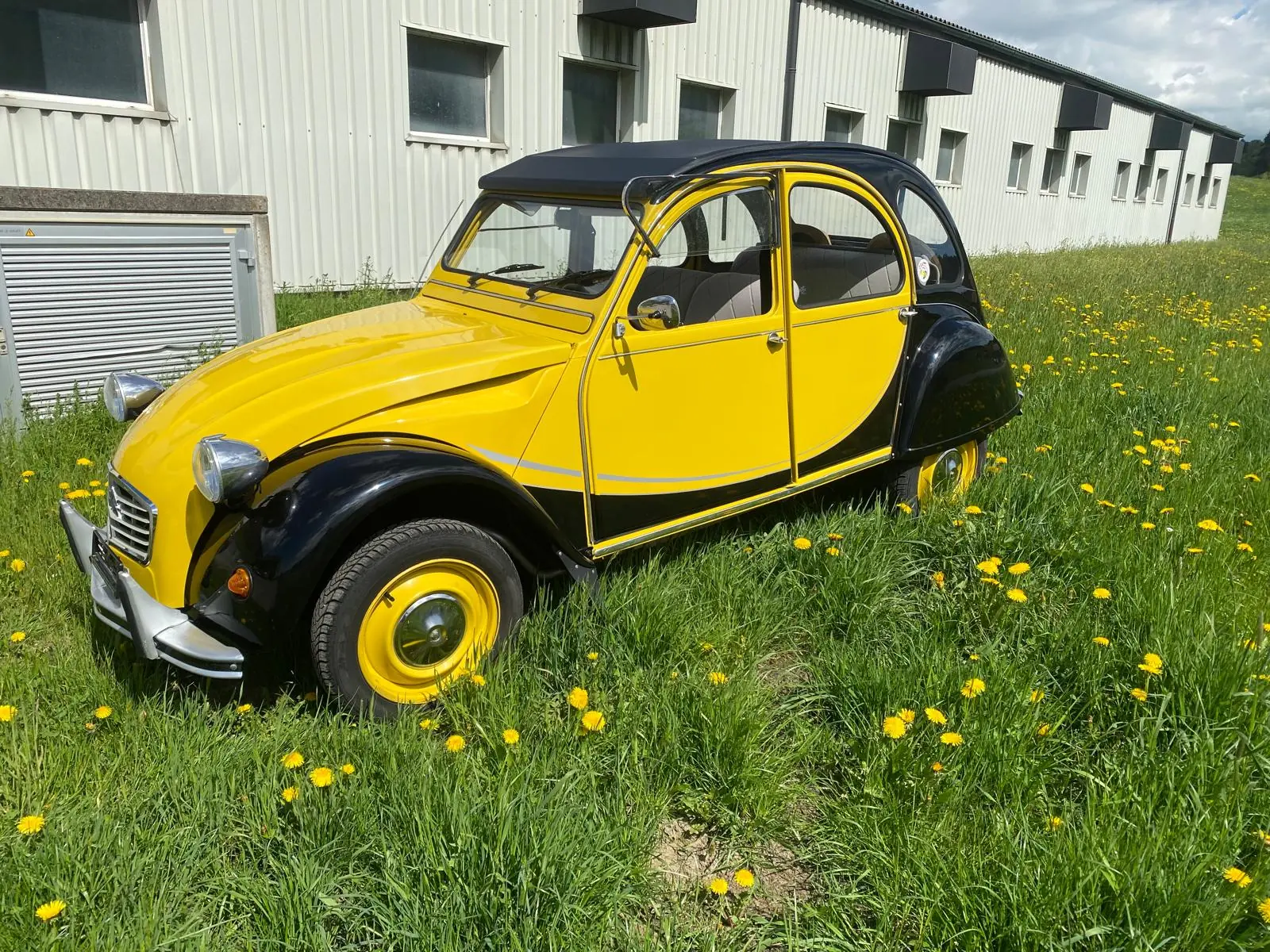 Citroen 2cv 1982 occasion Ecoteaux — 2