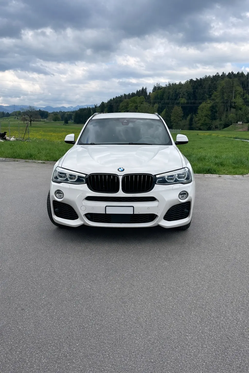 BMW X3 2017 occasion Schmerikon — 2