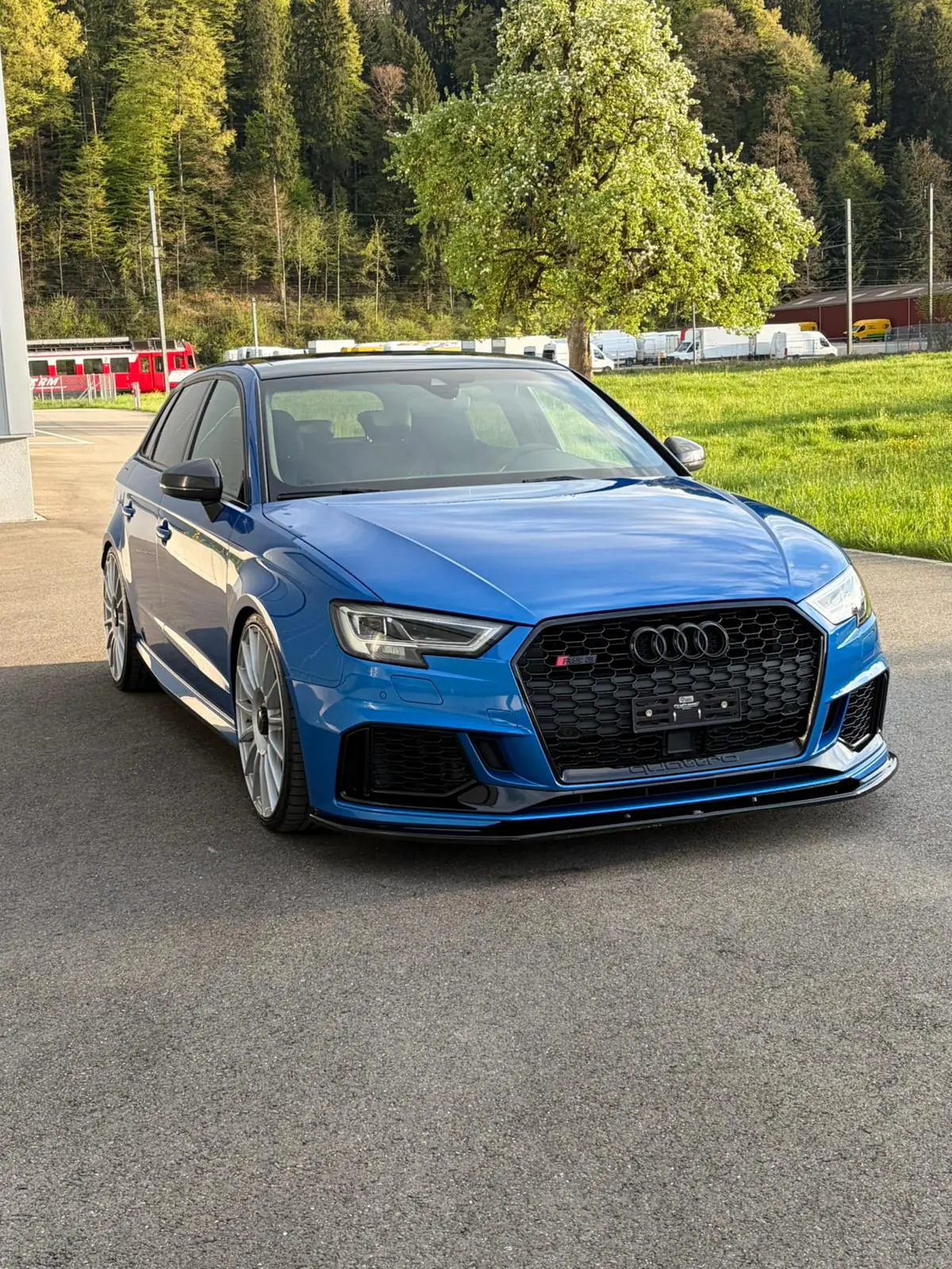 Audi RS3 2018 occasion Fischbach — 1