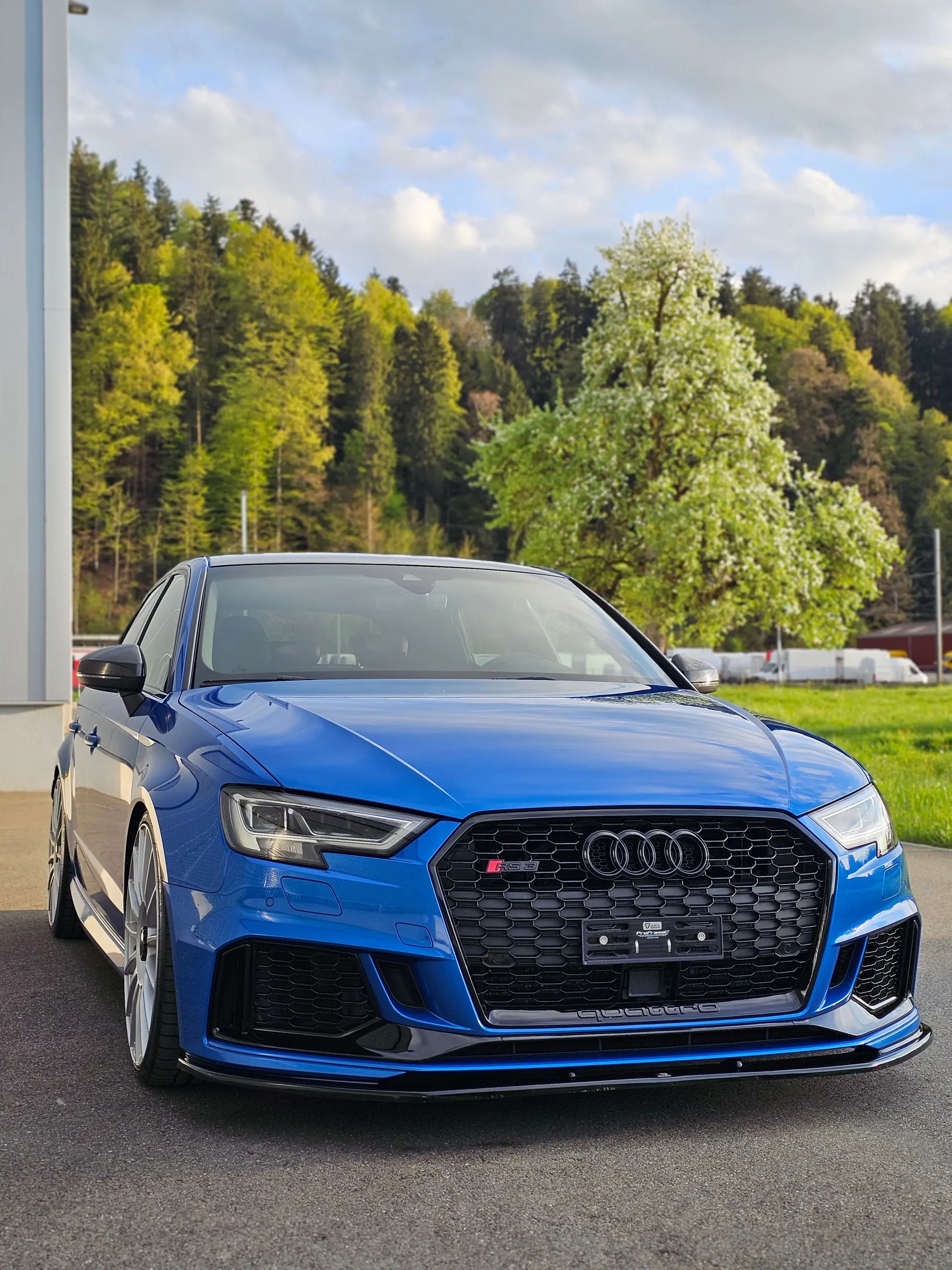 Audi RS3 2018 occasion Fischbach — 3