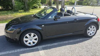 Audi TT Roadster 1.8 T — Cabriolet sportif emblématique, 85 500 km, sans accident — Heckansicht