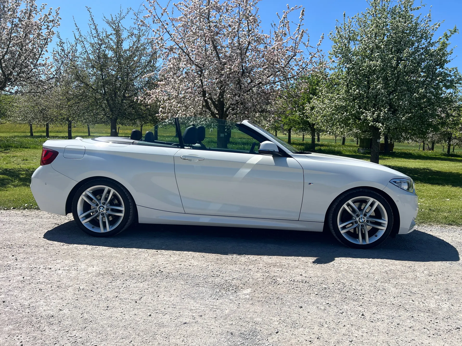 BMW 228i M Sport Cabriolet — Élégance décapotable, motorisation 245 ch et équipements premium — vue extérieure