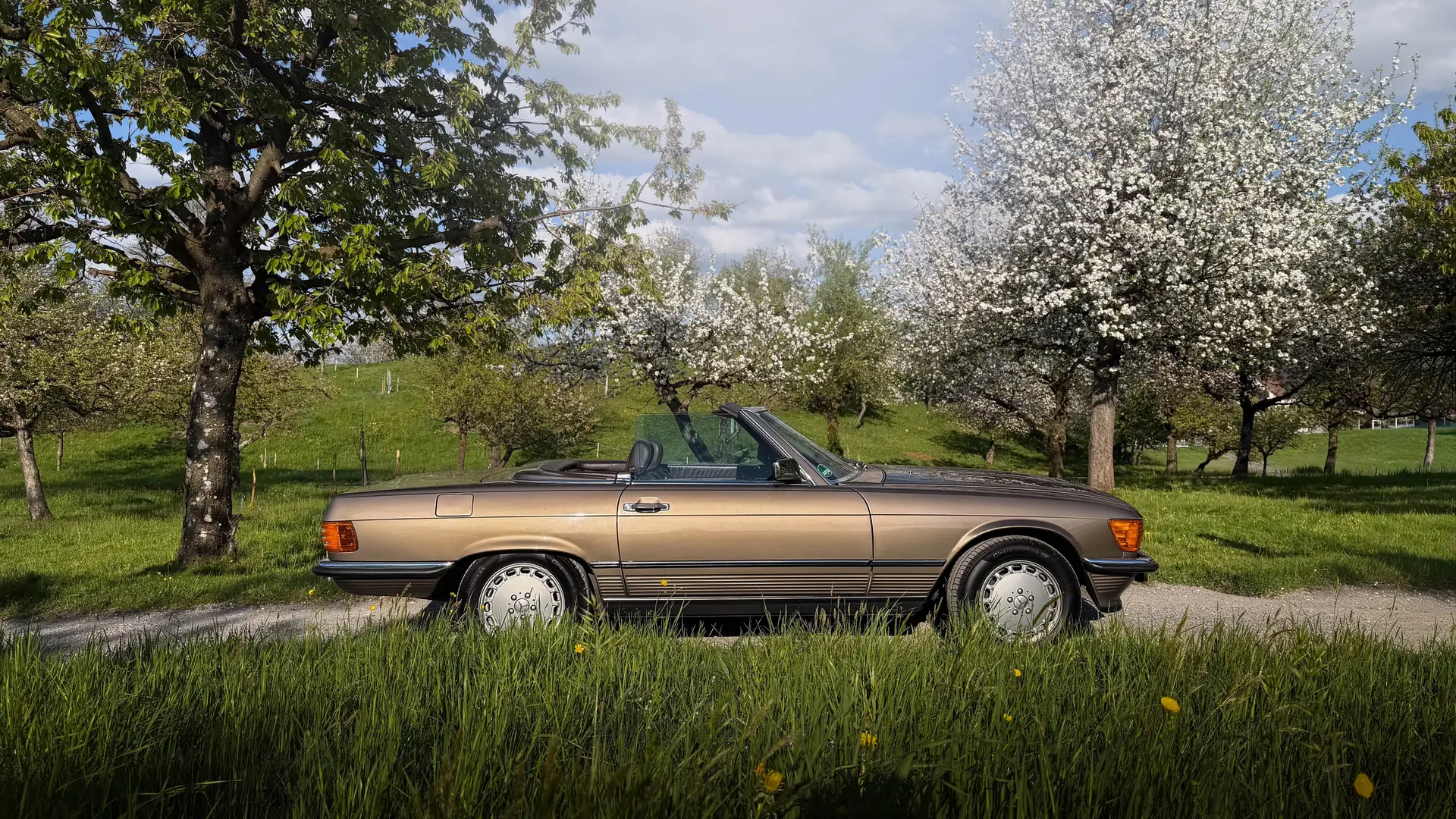 Mercedes-Benz SL 1989 occasion Stäfa — 3