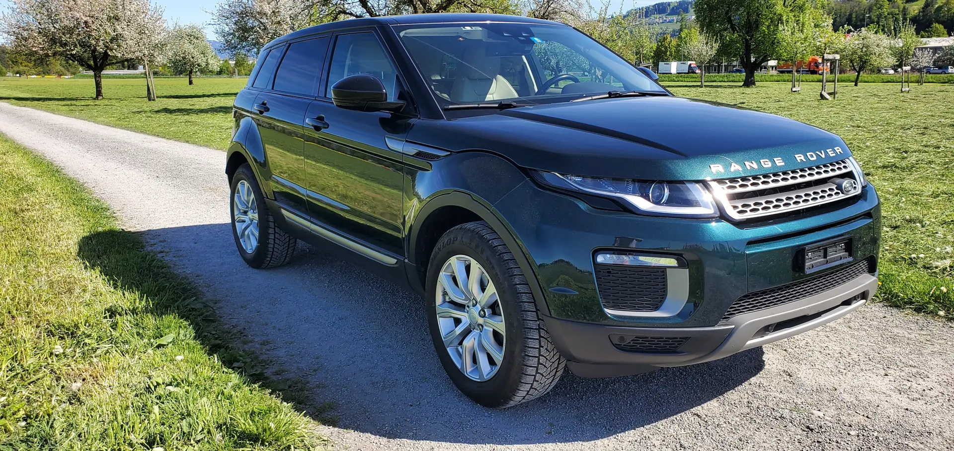 Land Rover Range Rover Evoque 2016 occasion Rorschacherberg — 2