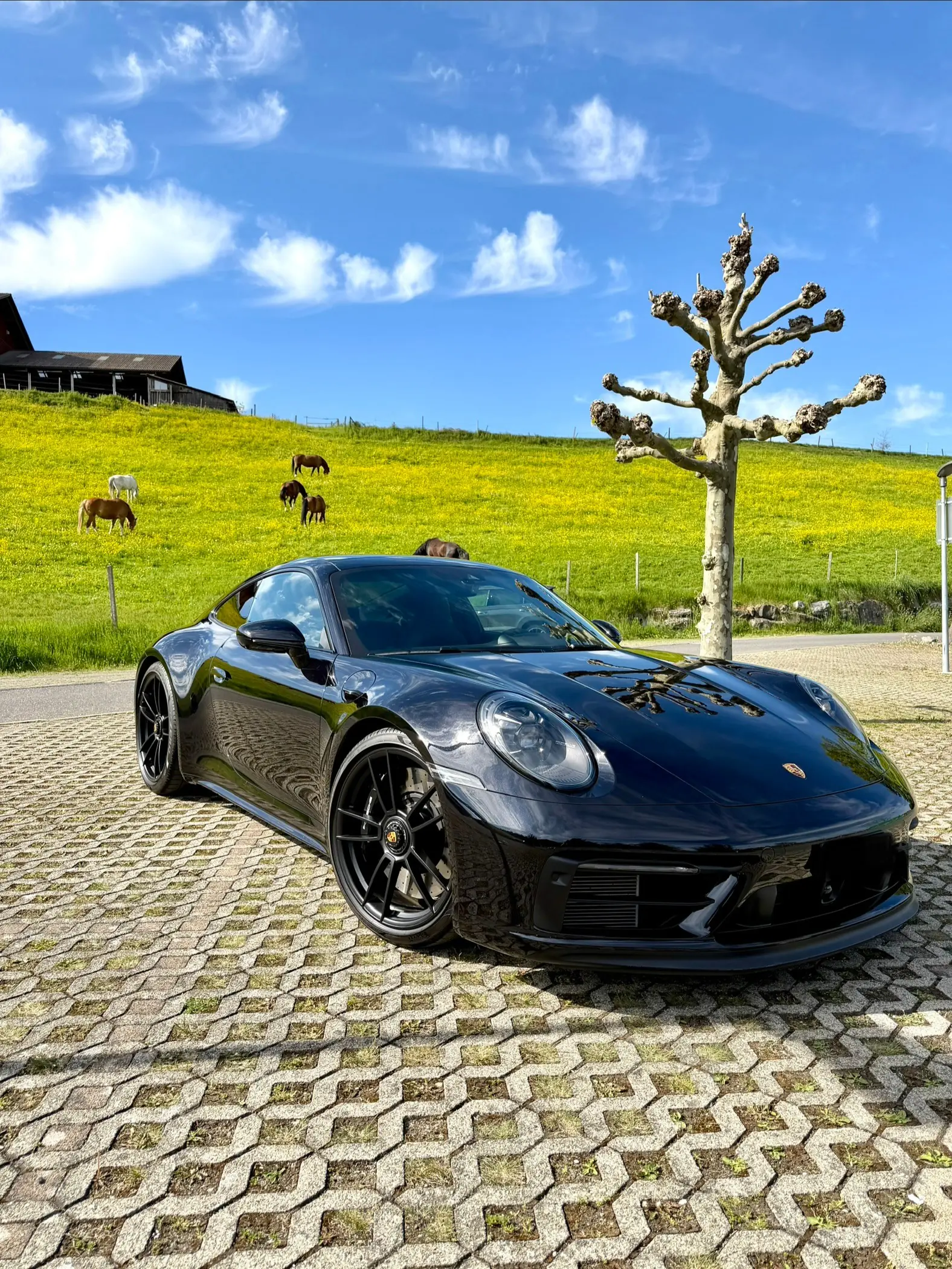 Porsche 911 2024 occasion Wollerau — 4