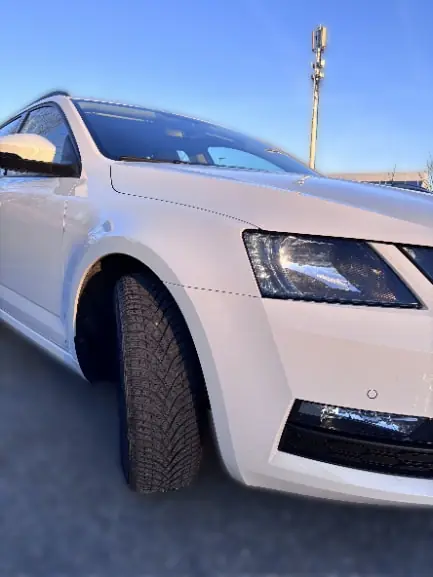 Skoda Octavia 2019 occasion Perroy — 3