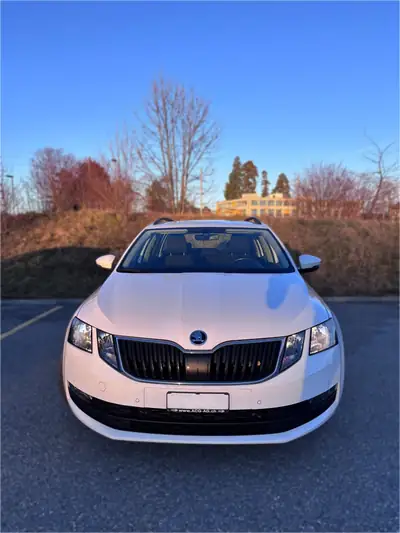 Skoda Octavia 1.6 TDI 115 4x4 — Break polyvalent, courroie neuve, frugal en carburant — Außenansicht