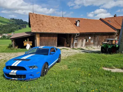 Ford Mustang Shelby GT 500 — Muscle car légendaire, 557 ch et seulement 32'000 km — Miniature 13