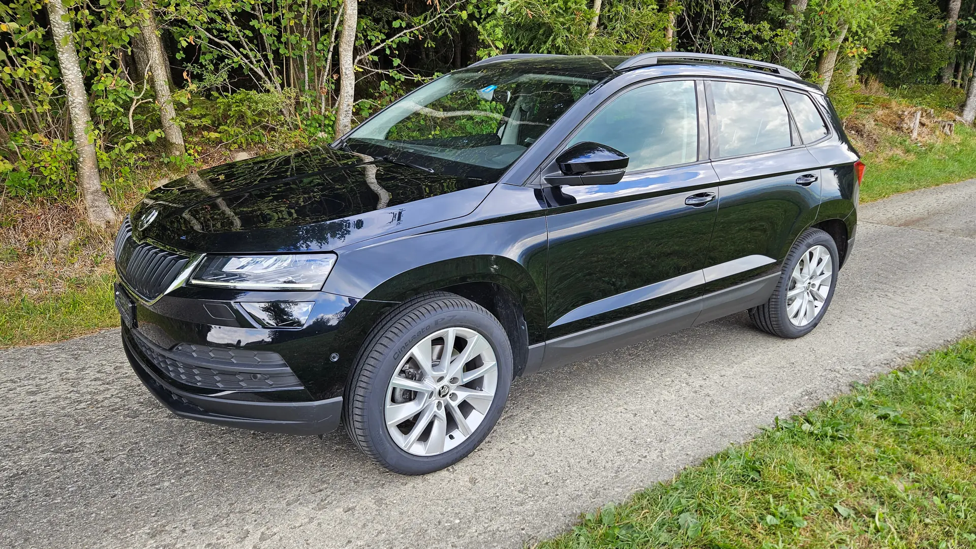 Skoda Karoq 2.0 TDI 190 4x4 — SUV robuste, transmission DSG, 76'000 km — Außenansicht