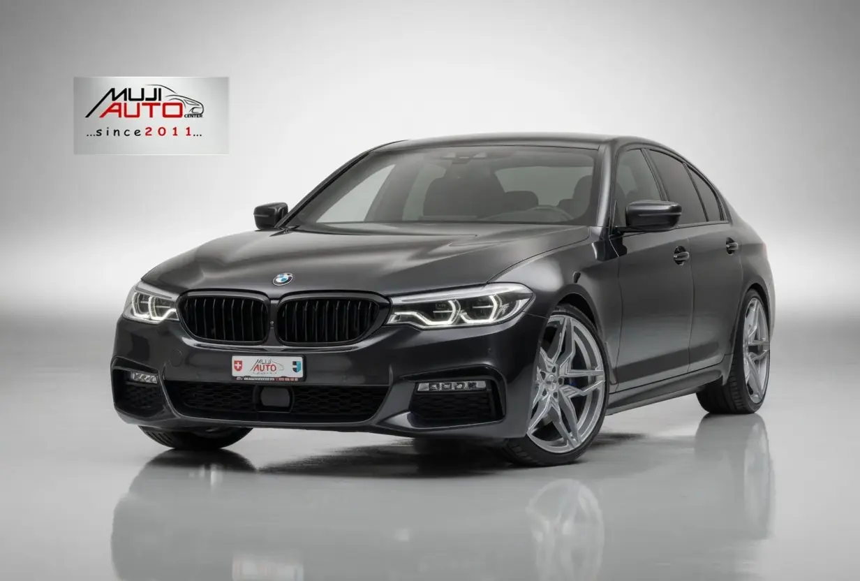 BMW 530d xDrive M-Paket — Berline premium diesel, révision complète et équipement individualisé