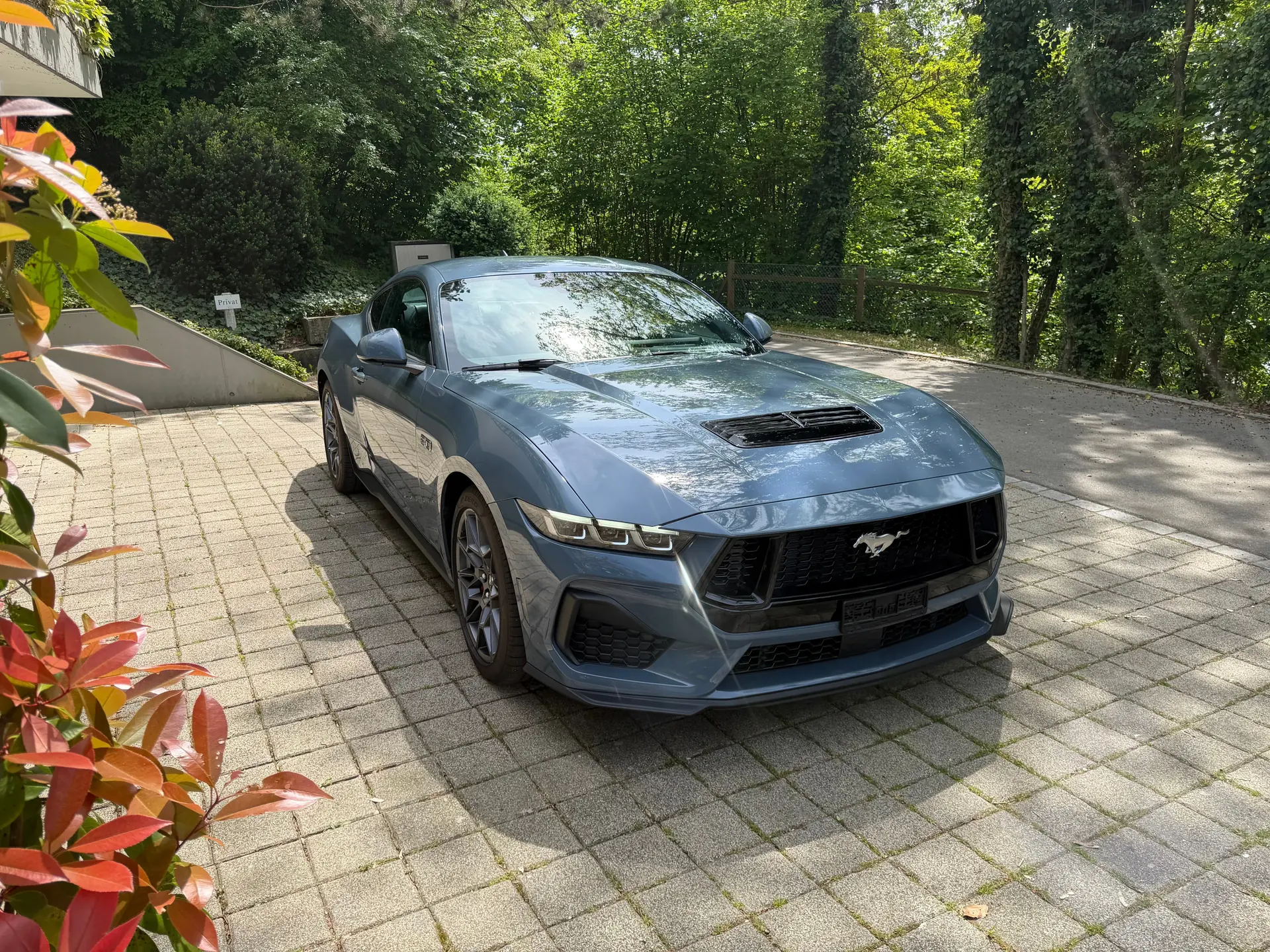 Ford Mustang 2024 occasion Thayngen — 1