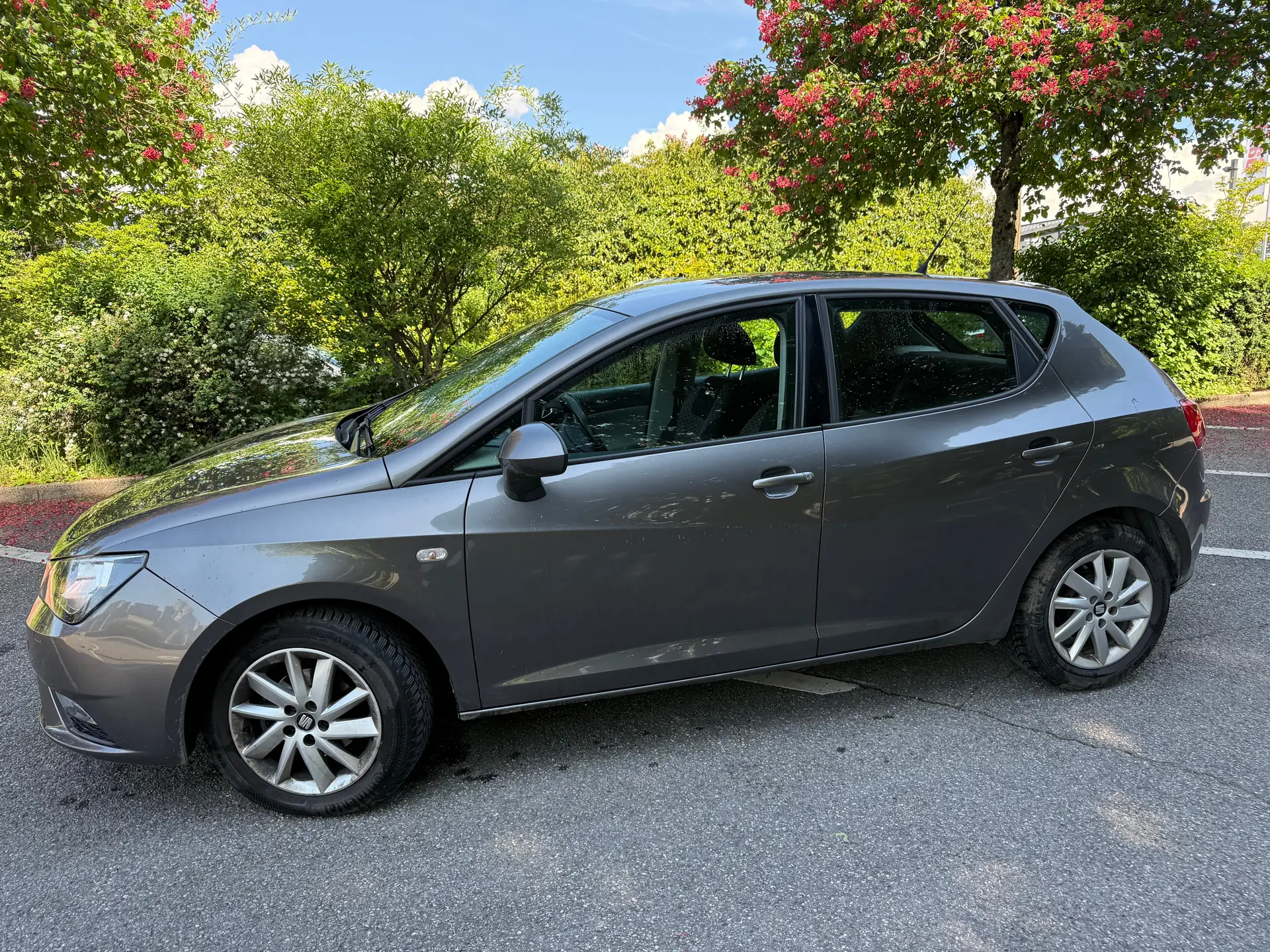 SEAT Ibiza 2014 occasion Meyrin — 3