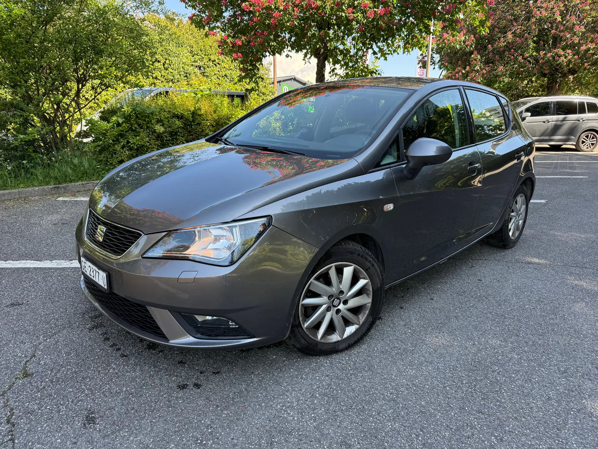 SEAT Ibiza 2014 occasion Meyrin — 1