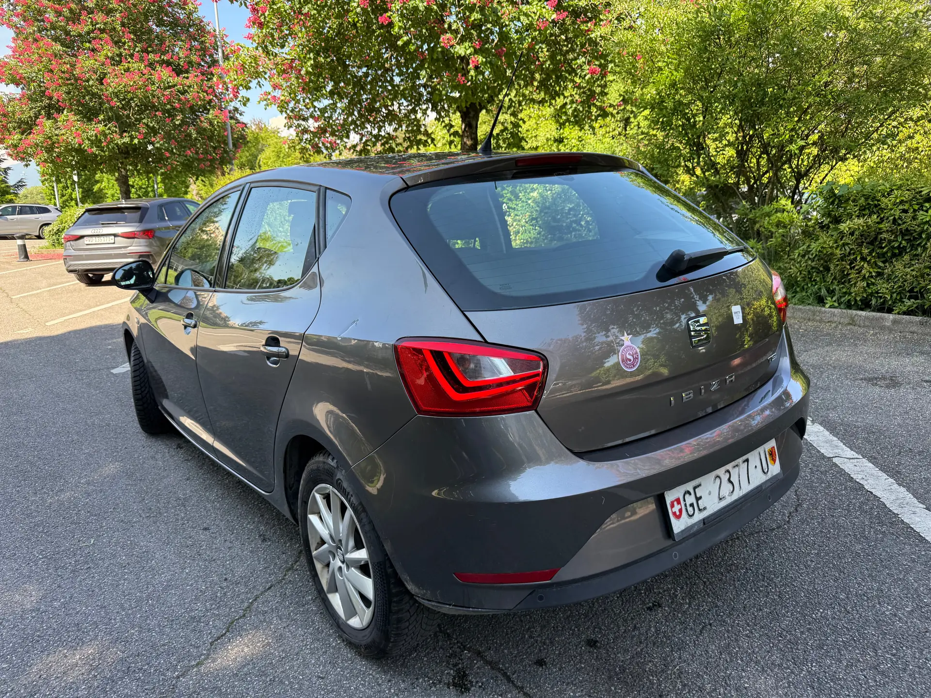 SEAT Ibiza 2014 occasion Meyrin — 4
