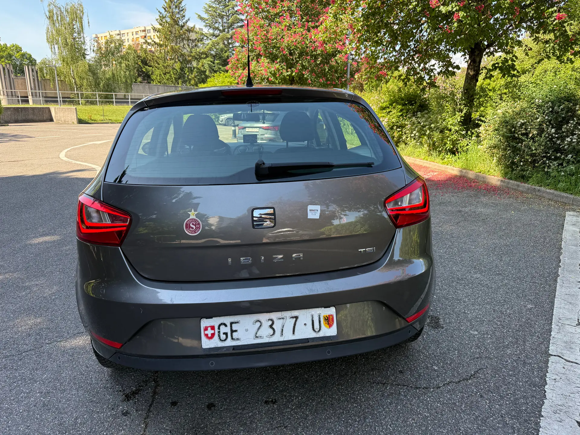 SEAT Ibiza 2014 occasion Meyrin — 5