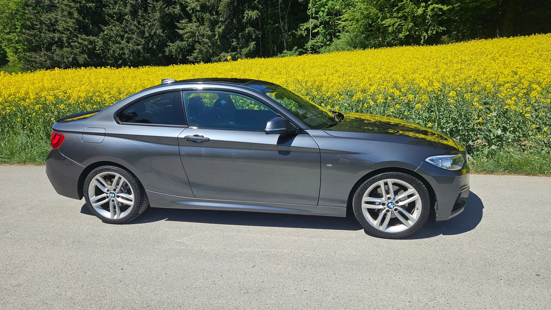 BMW 220 2014 occasion Birrwil — 3