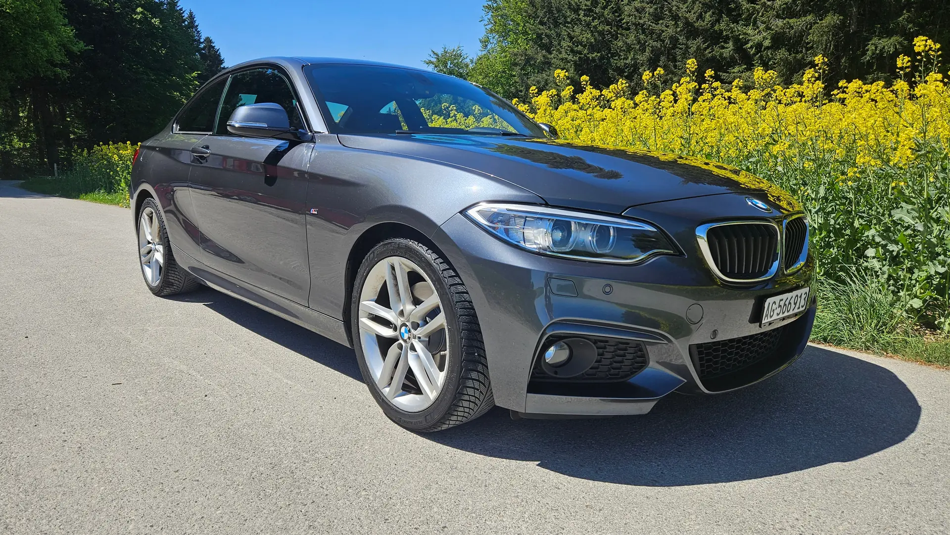 BMW 220 2014 occasion Birrwil — 2