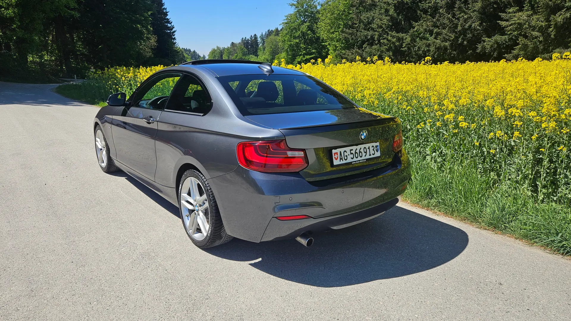 BMW 220 2014 occasion Birrwil — 4