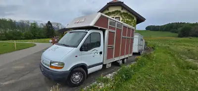 Renault Master 2.8 dTi — Utilitaire robuste pour transport chevaux, 120'000 km — interni