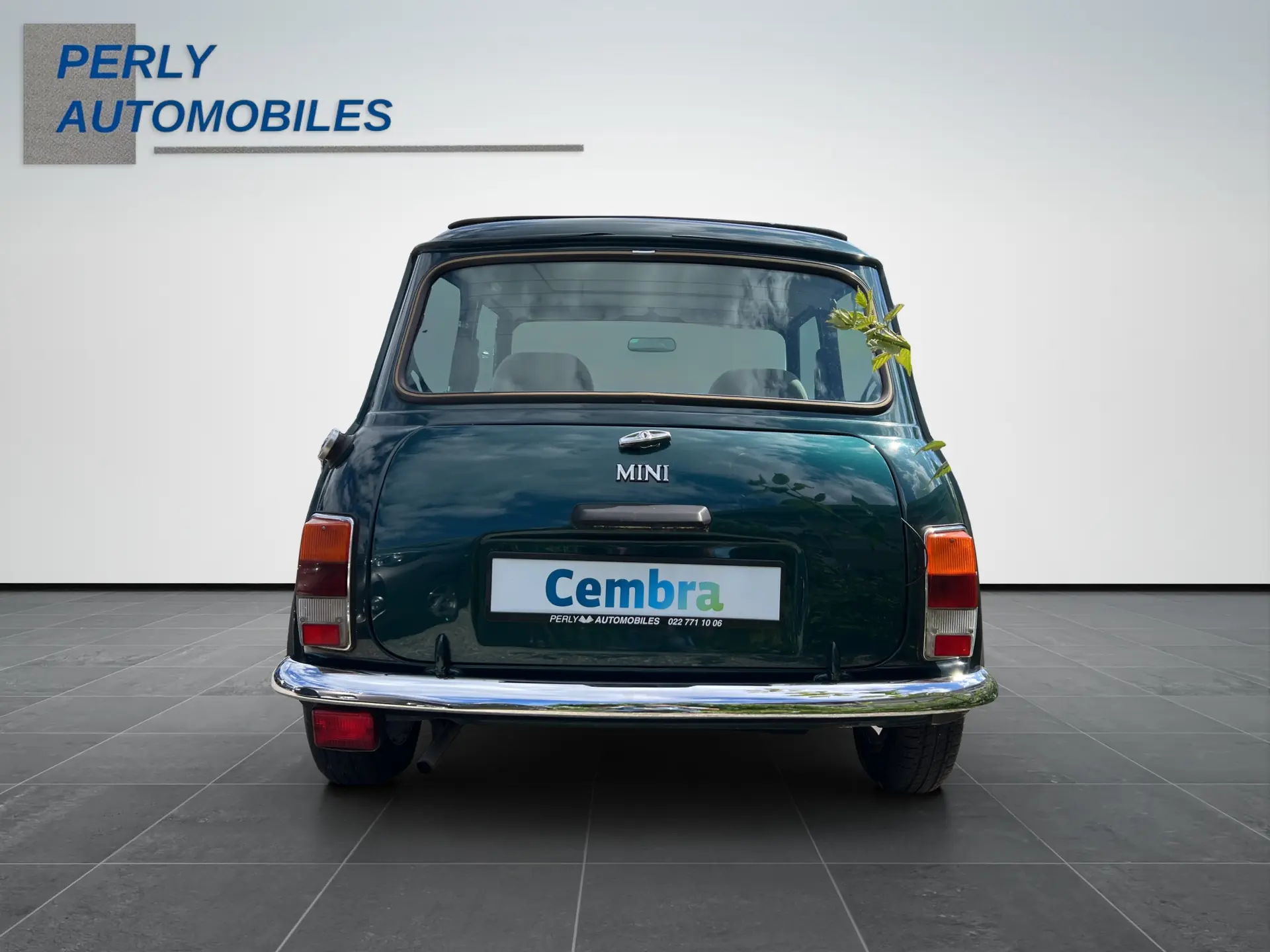 Rover Mini 1995 occasion Perly — 5