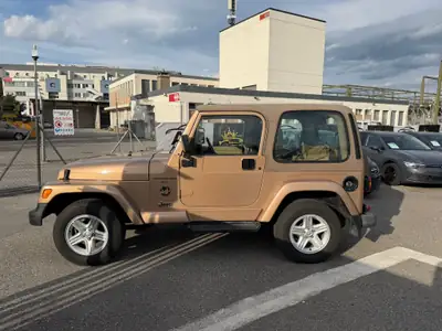 Jeep Wrangler 4.0 Sahara Hardtop — Légende tout-terrain, expertise du jour — Heckansicht