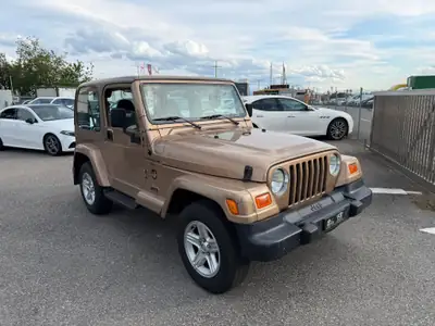 Jeep Wrangler 4.0 Sahara Hardtop — Légende tout-terrain, expertise du jour — Miniatur 8